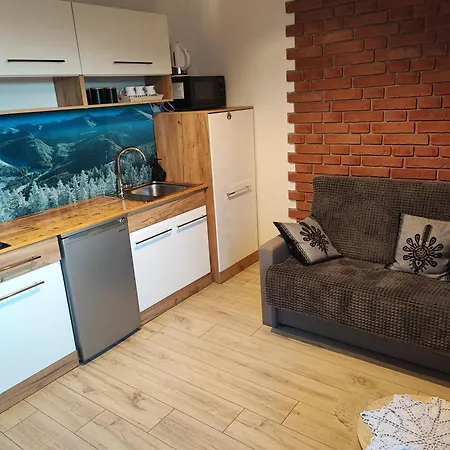 Zakopianskie Pokoje U Eweliny - Apartament 아파트 *